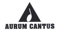 Ремонт акустики Aurum Cantus